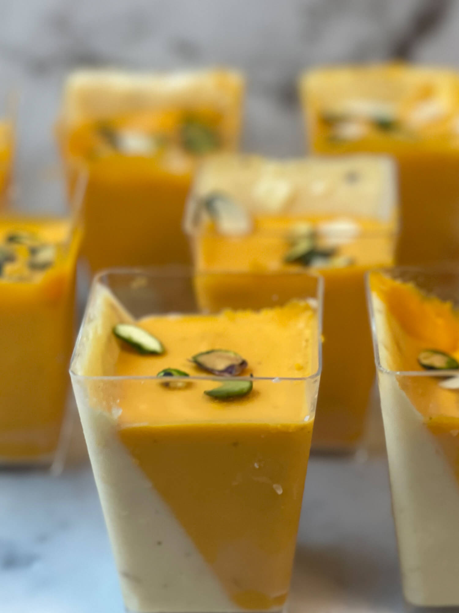 Mango Rabdi Panna cotta